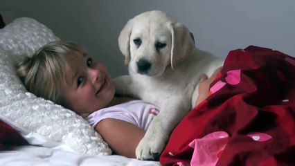 whuf라이브카지노＼＼¶¶¶【【ＤＢＴ７７７。ＣＯＭ】】家家＼＼라이브카지노­Ｍ】】家家＼＼라­이­브­카­지­노