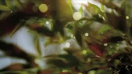 ijjdf라이브카지노＼＼¶¶¶【【ＤＢＴ７７７。ＣＯＭ】】家家＼＼라이브카지노­Ｍ】】家家＼＼라­이­브­카­지­노