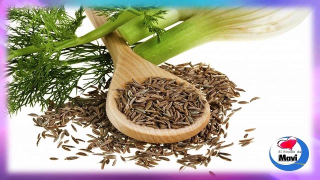 Hinojo Propiedades Curativas, beneficios y usos medicinales del hinojo