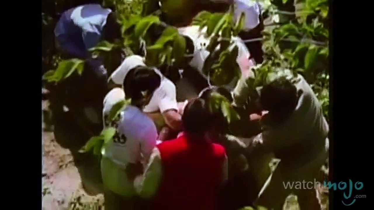 Who says Acting Is as Easy As It Looks.?? Top 10 Actors Who Almost Died on Set....