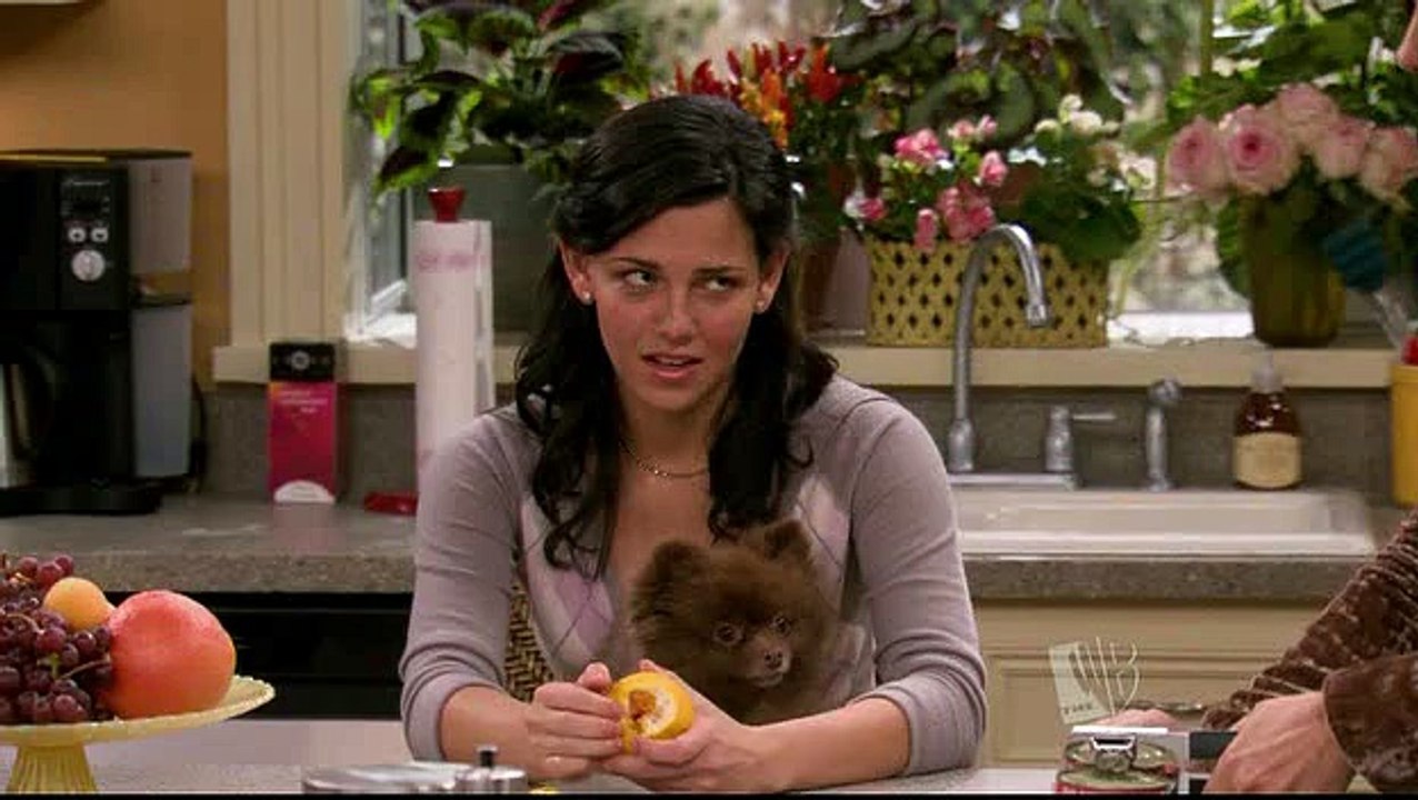 A Casa di Fran 2x03 - I 16 anni di Allison