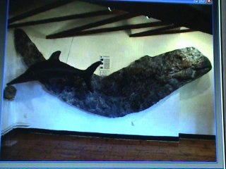 Site géologique de Digne