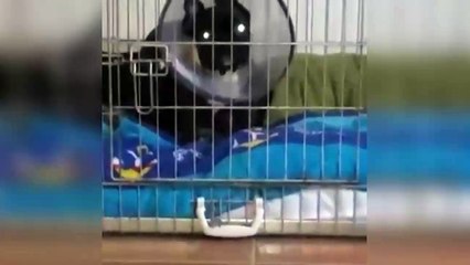 I Love you - Я тебя люблю