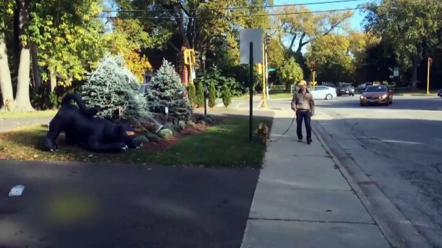 The dog was very scared - Пес чуть инфаркт не получил