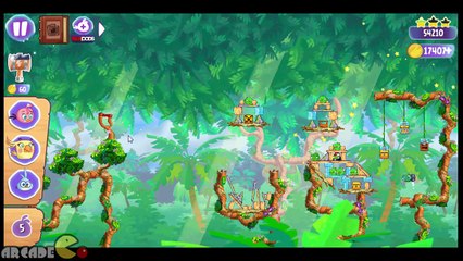 Angry Birds Stella - Crossfit Pig Golden Map Walkthrough Part 48