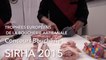 Episode 1 Trophée Européens de la Boucherie Artisanal Concours Boucherie Sirha 2015