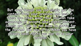 How To Use Private Label Rights Content