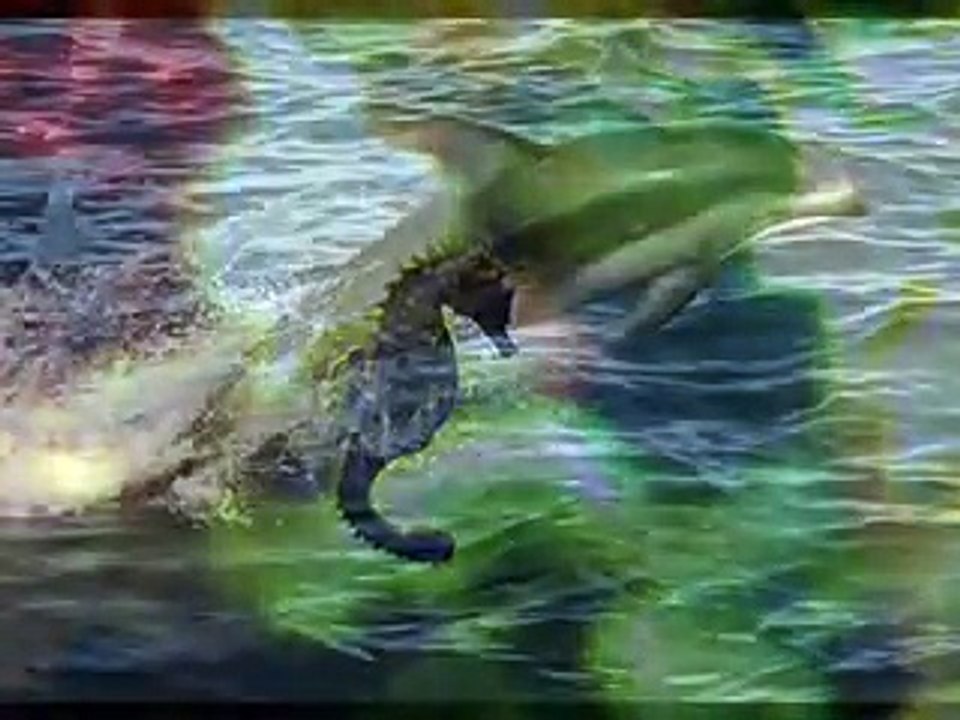 Allah Hu Allah Ho Allah --- Waheed Zafar Qasmi