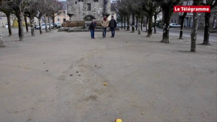 Guerlesquin (29). Le bouloù pok, tradition ancestrale