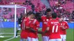 Benfica 3-0 Vitoria de Setubal goals and highlights 15.02.2015 HD