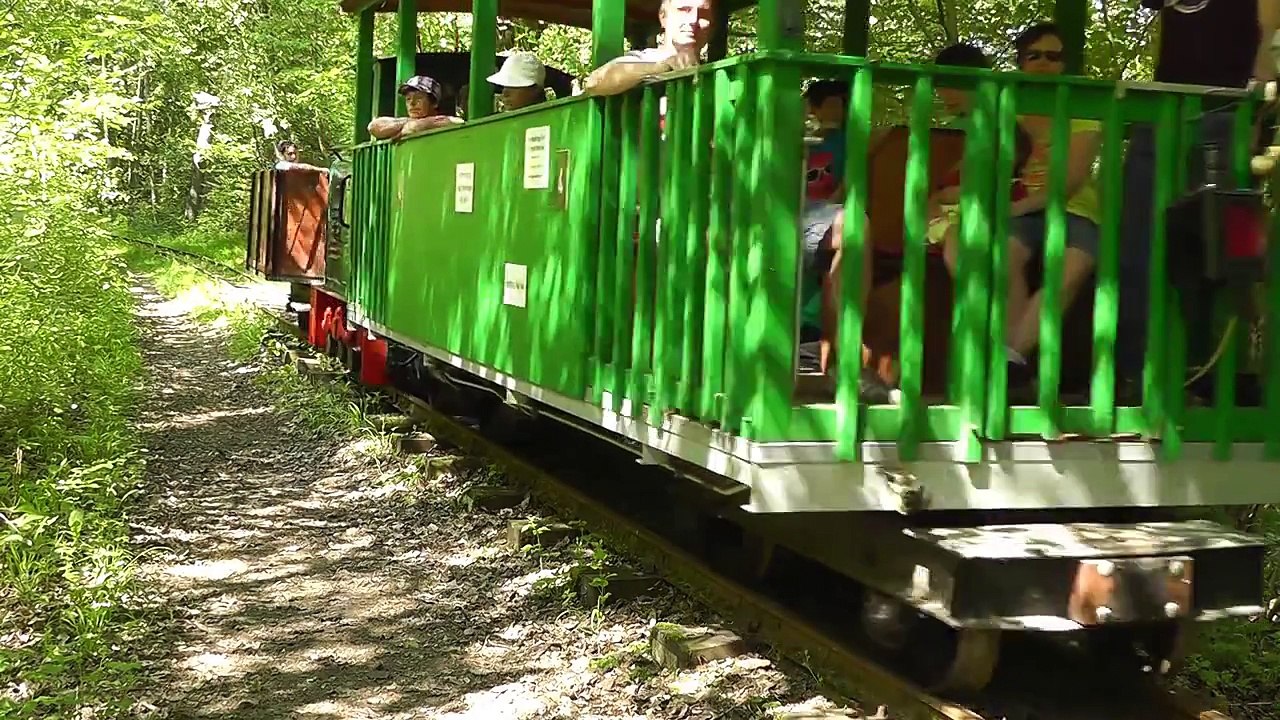 Zu Gast bei der Buchhorster Waldbahn