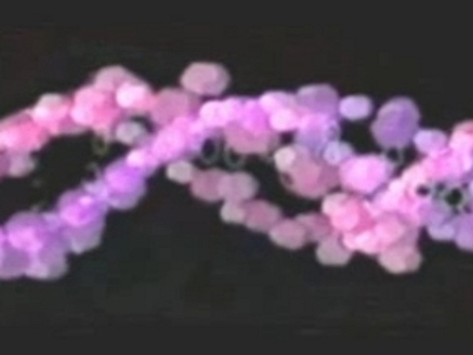 An Introduction to GMO