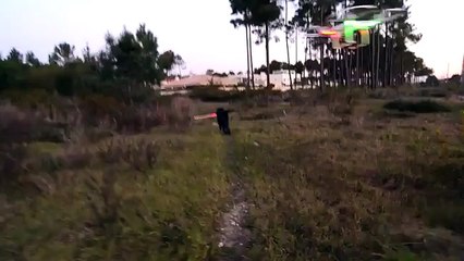 Dog Vader Takes On A Drone