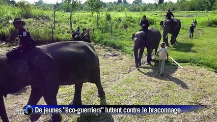 Indonésie: patrouille à dos d'éléphants pour protéger les forêts