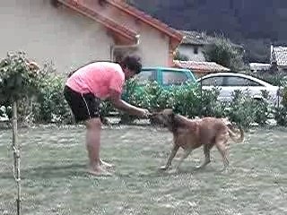 Video gag made in roby