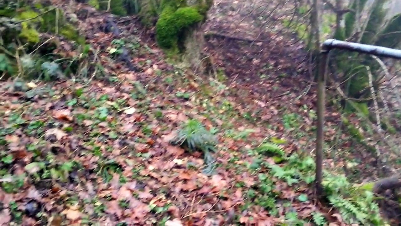 Cascade de Erzenbach (20150215_153848)