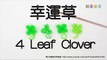 手織:幸運草 4 Leaf Clover Charm(Without Loom) - 彩虹編織器中文教學 Rainbow Loom Chinese Tutorial