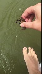 Ce gars pêche avec son pied ... WTF !