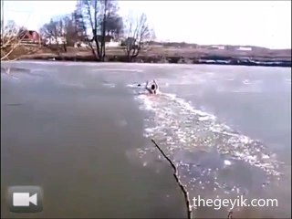 Köpeği kurtarmak için buzlara dalan adam