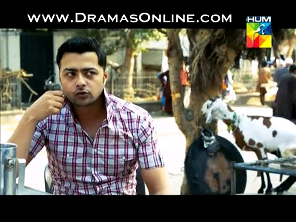 Aik Aur Aik 11 Valentine Day Specail Telefilm on Hum Tv in High Quality 15th Feburary 2015