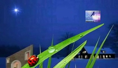 soñar con libros en orden, significado de los sueños, español latino