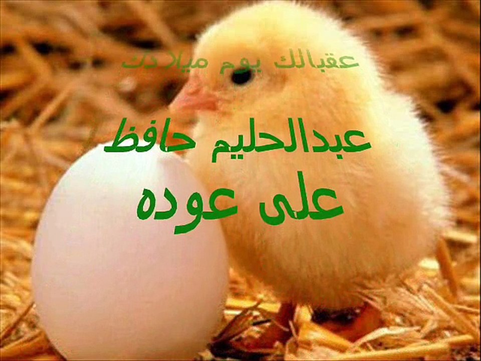 عقبالك يوم ميلادك - عبدالحليم حافظ على عوده