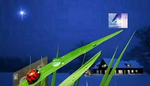 soñar con ovejas muertos, significado de los sueños, español latino