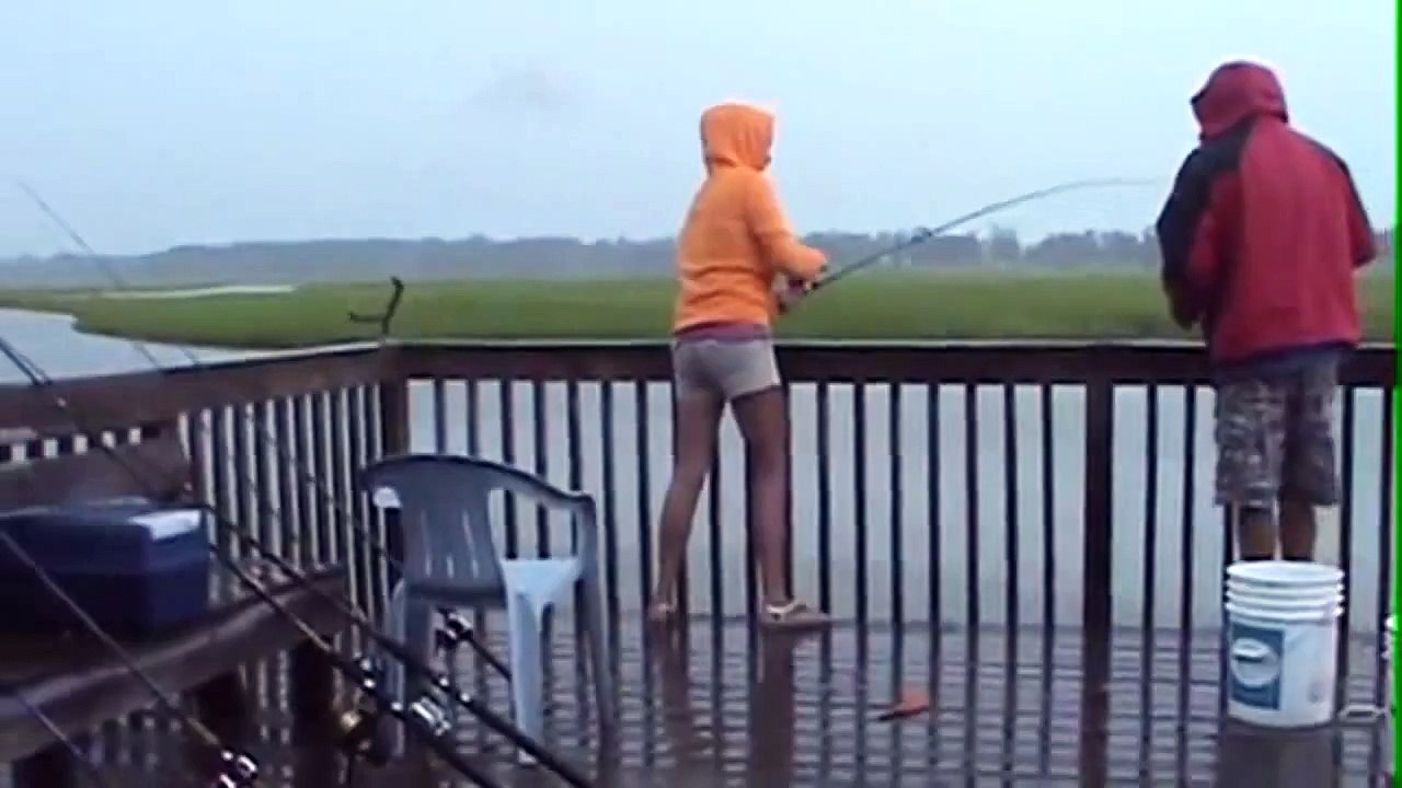 Real shark attack video shark bait FUNNY ACCIDENT VIDEOS funny clips Shark Attacks