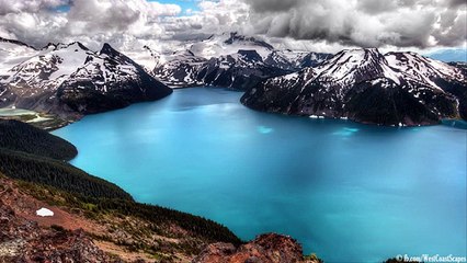 Elephante - Shake The Earth (OLWIK Remix) 🎶 | Ultimate Dance Vibes