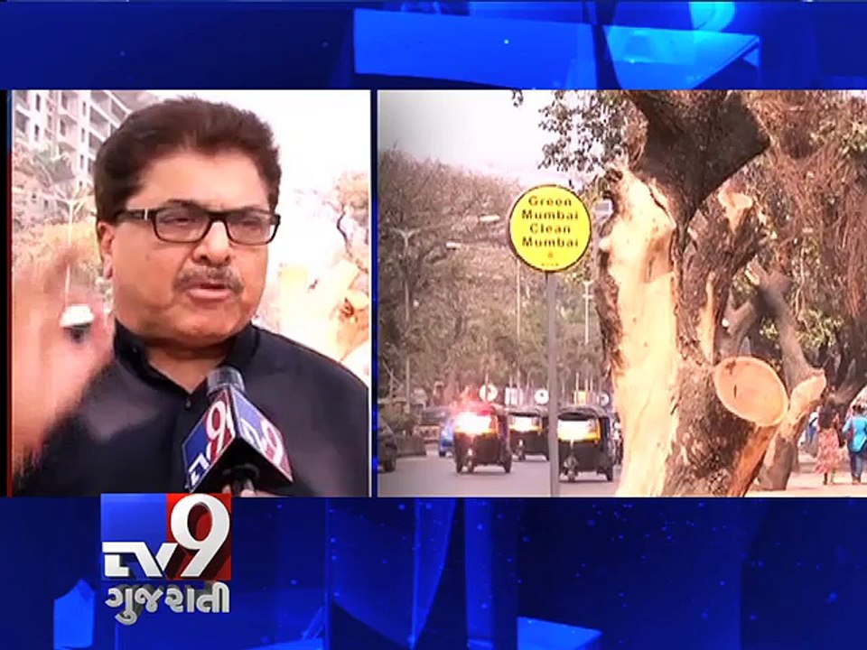 Mumbai: BMC chopped down 50 trees in Juhu, residents irked - Tv9 Gujarati