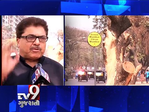 Mumbai: BMC chopped down 50 trees in Juhu, residents irked - Tv9 Gujarati