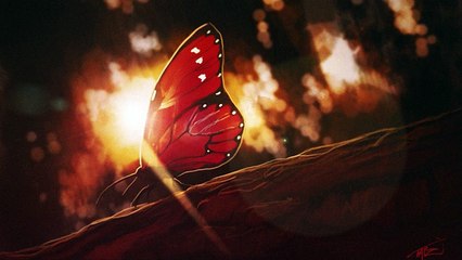 Kasbo - Kaleidoscope