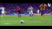 PAUL POGBA     Juventus FC   Ultimate Skills And Goals 2014
