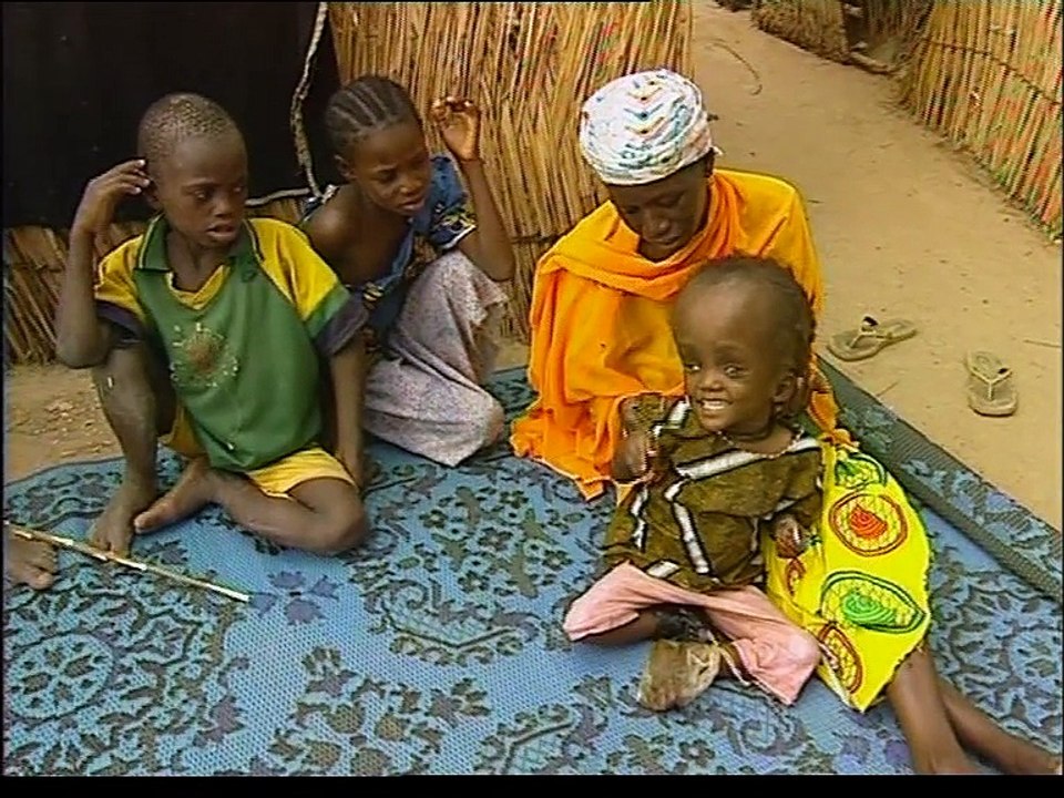Niger, quand l'eau devient poison