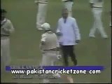 Waqar LBW Srikkanth and srikanth called back by Imran Khan.flv