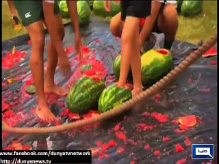 Dunya News - Water Melon festival makes a splash in Chinchilla