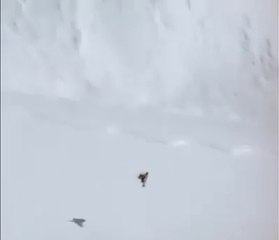 Une chute en snowboard d'au moins 100 mètres