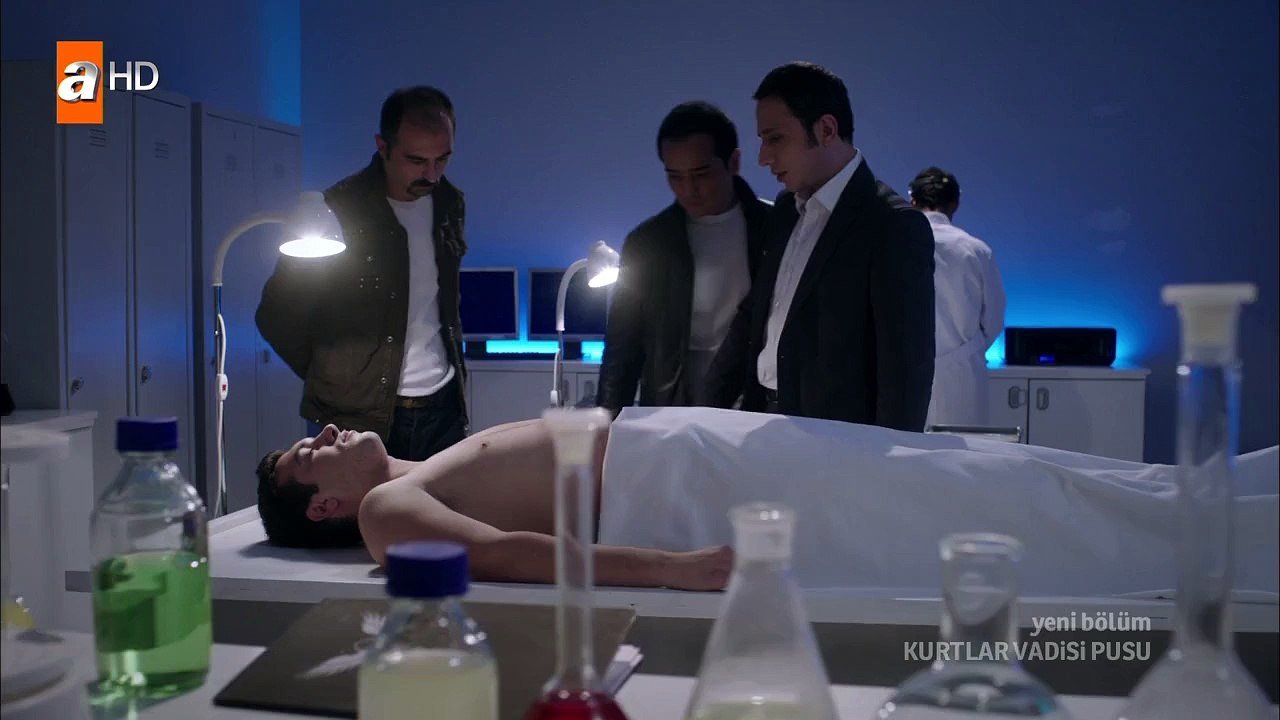 k.v.p-204-hd