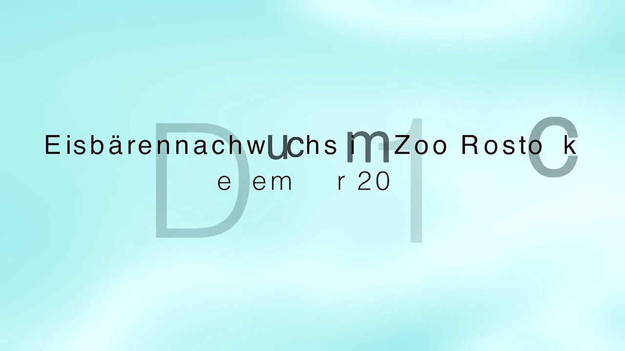 Eisbär - Nachwuchs im Zoo Rostock - Update 23.01.2015