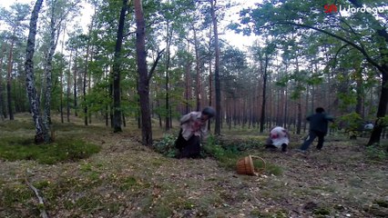 Zombie Apocalypse Halloween Prank