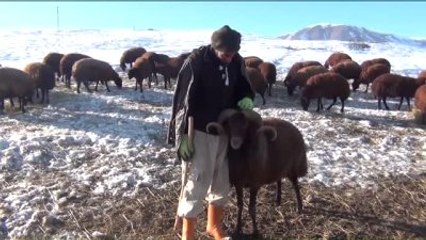 Çiftçilerin Zorlu Kış Mesaisi