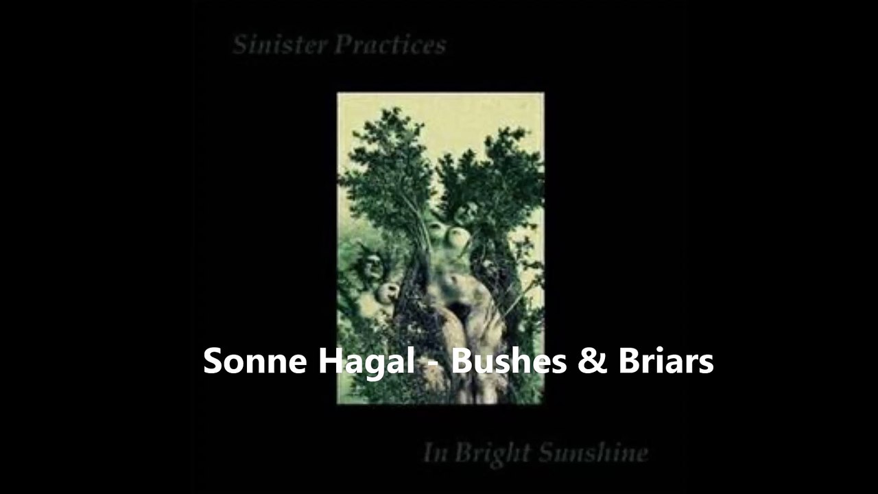 Sonne Hagal - Bushes & Briars