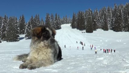 Kayakseverlerin Yeni Gözdesi Saraybosna