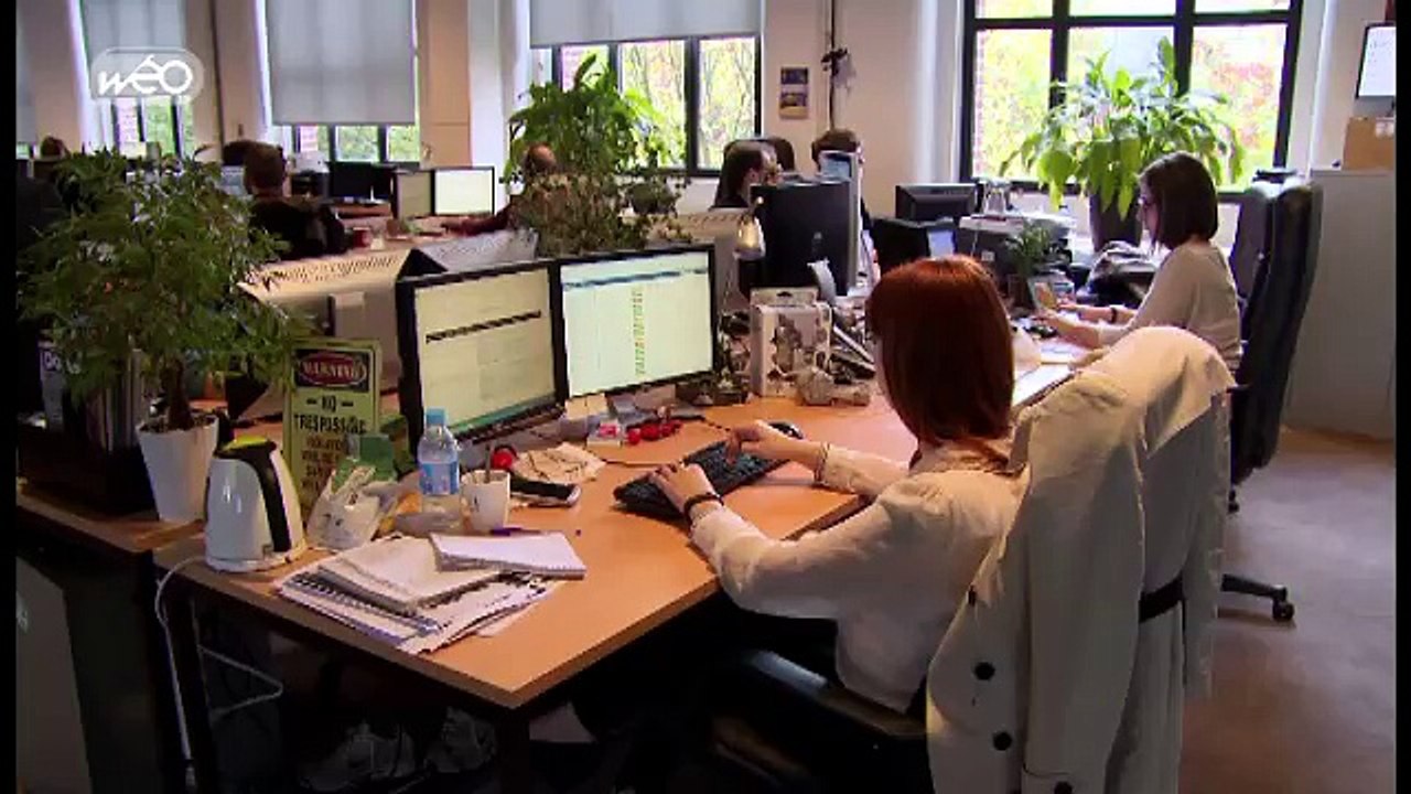 C'est le Nord : L’aventure incroyable d’Ankama, petite start-up de jeux vidéo originaire de Roubaix aujourd’hui mondialement connue