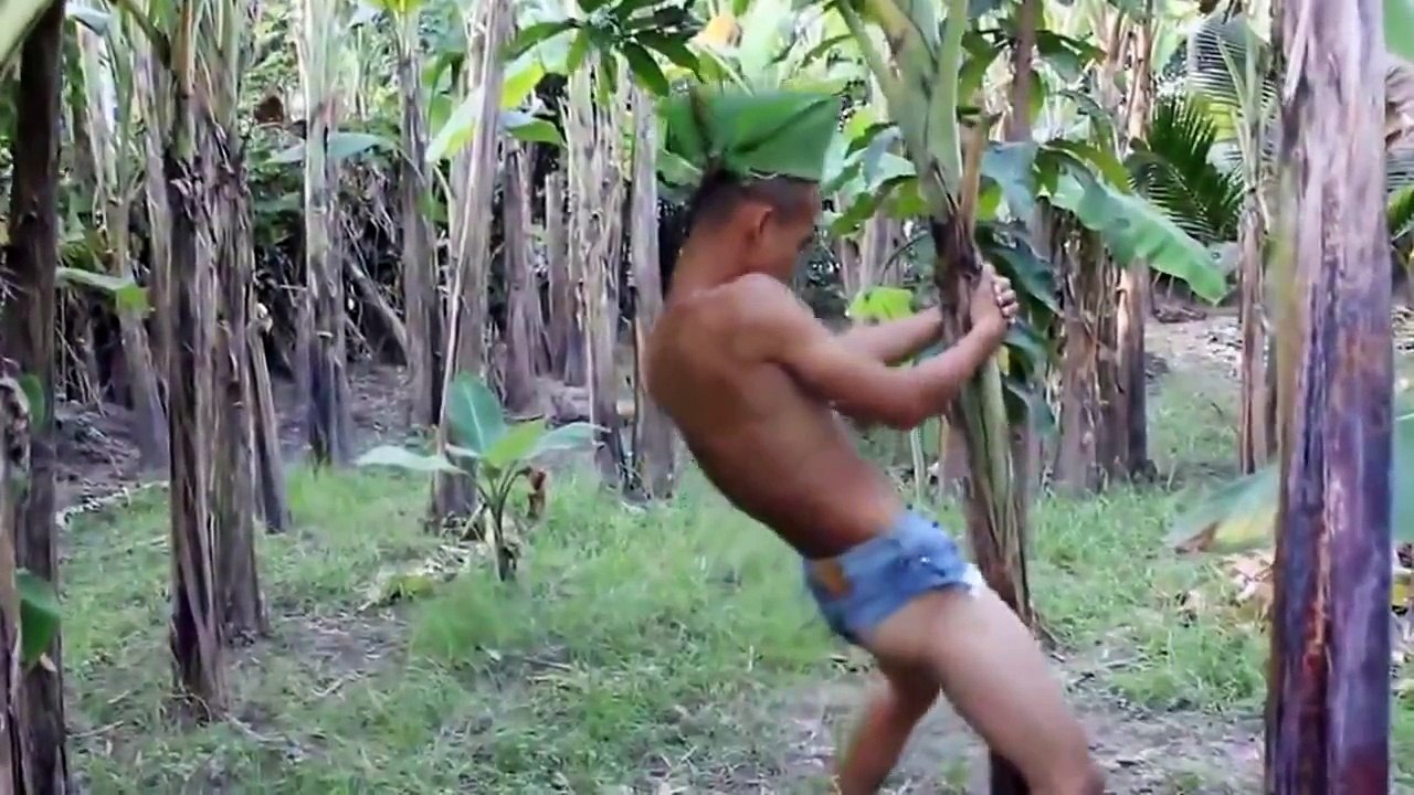Funny videos just for laughs 2014 - funny videos 2014 P.2