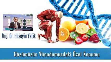 Gözümüzün Vücudumuzdaki Özel Konumu