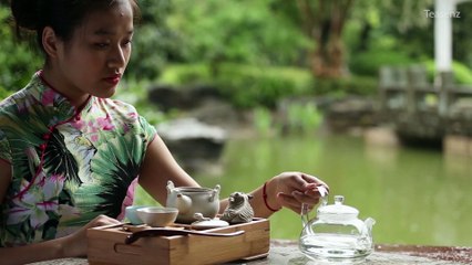 How To Brew Ginseng Oolong Tea