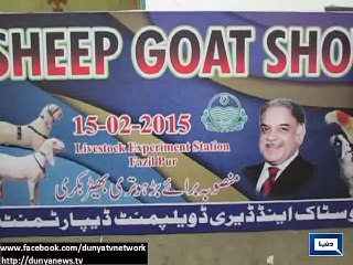 Dunya News - Rajanpur: Fair held for protection of rare animals