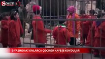 Bu sefer 3 yaşındaki onlarca çocuğu kafese kaydular