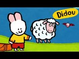 Didou - Dessine-moi un mouton S01E16 HD